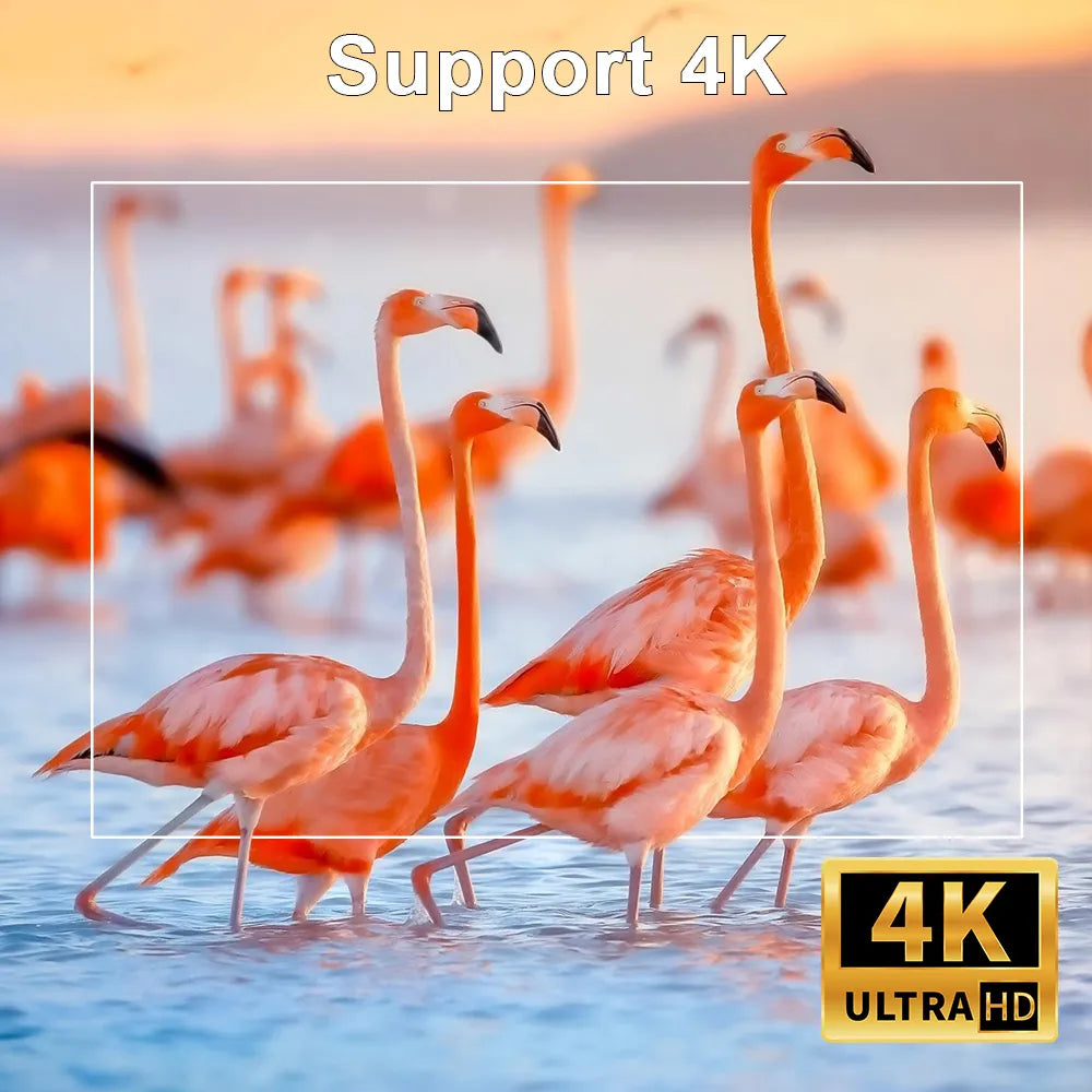 Vidéoprojecteur 4K Ultra HD - Fonctionnement en WIFI - Compatible prises EU & US