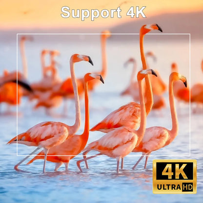 Vidéoprojecteur 4K Ultra HD - Fonctionnement en WIFI - Compatible prises EU & US